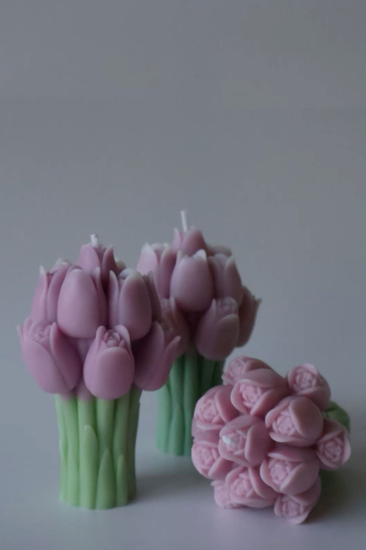 Blush Tulip (2 candle pack) - Scented