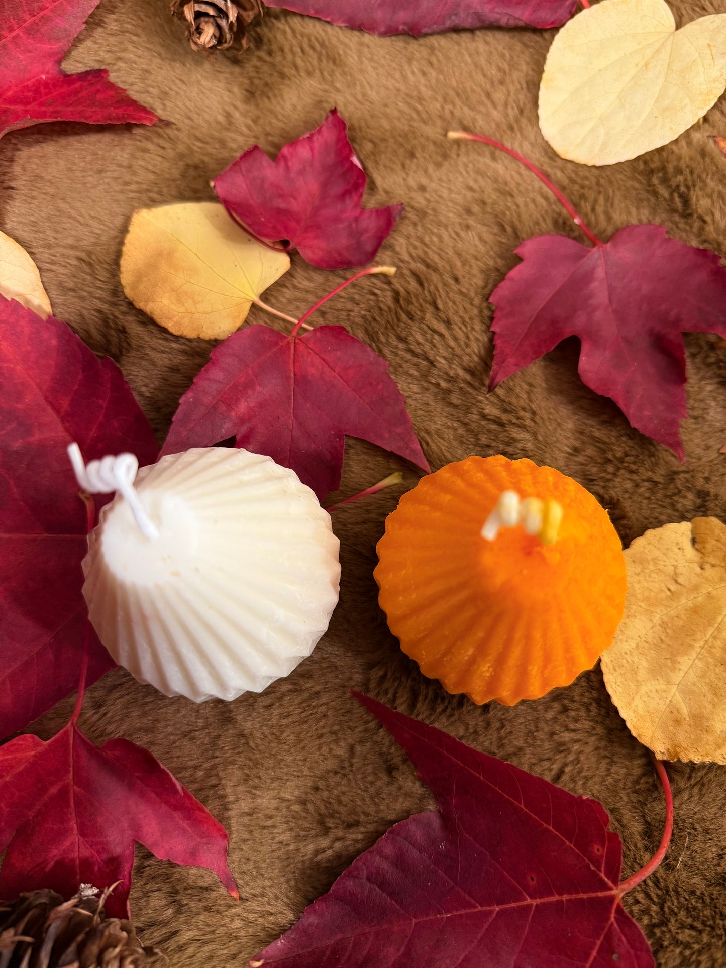 Magical Fall 3 (2 candle pack) - Scented