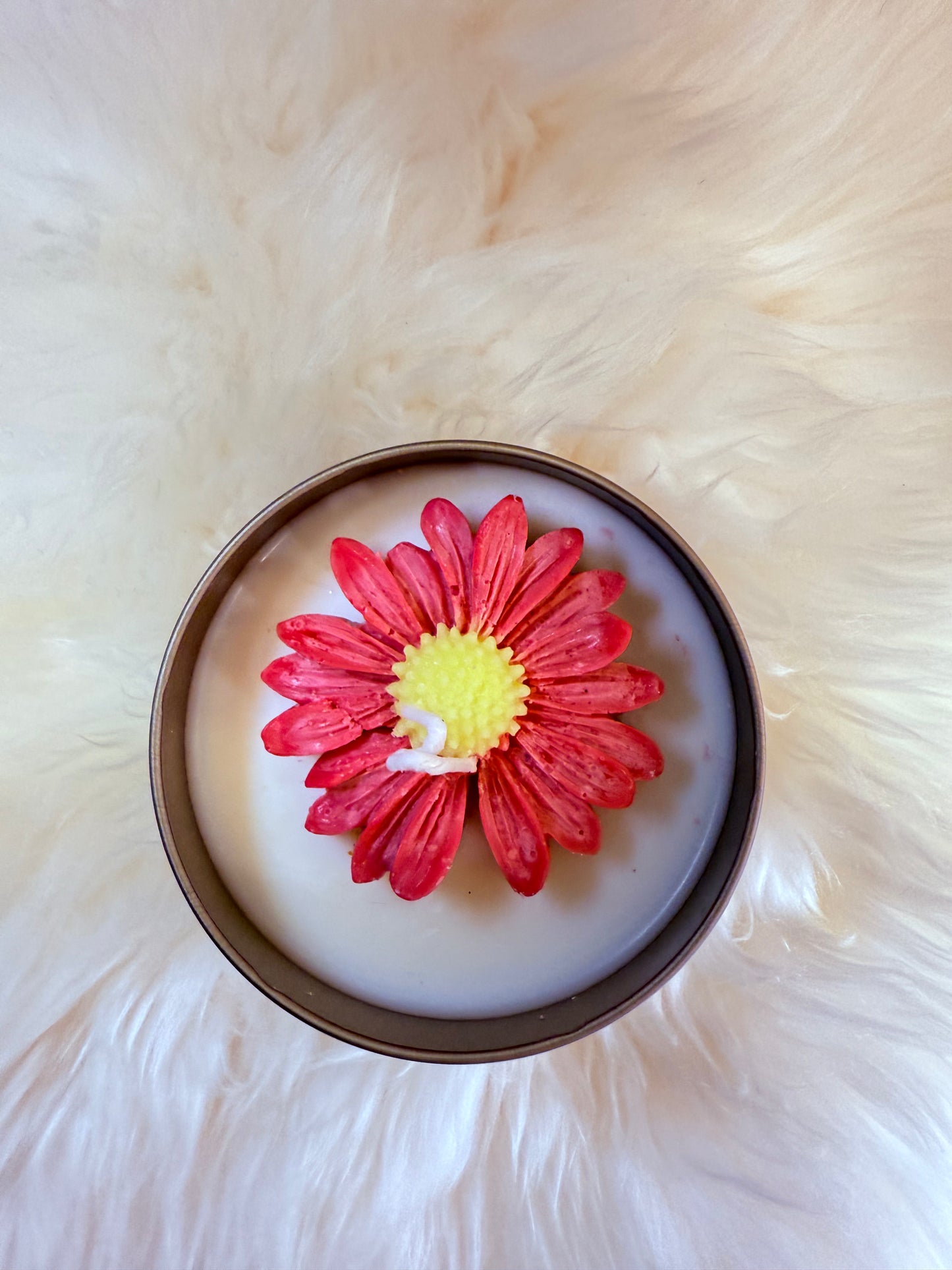 The Daisy - Unscented